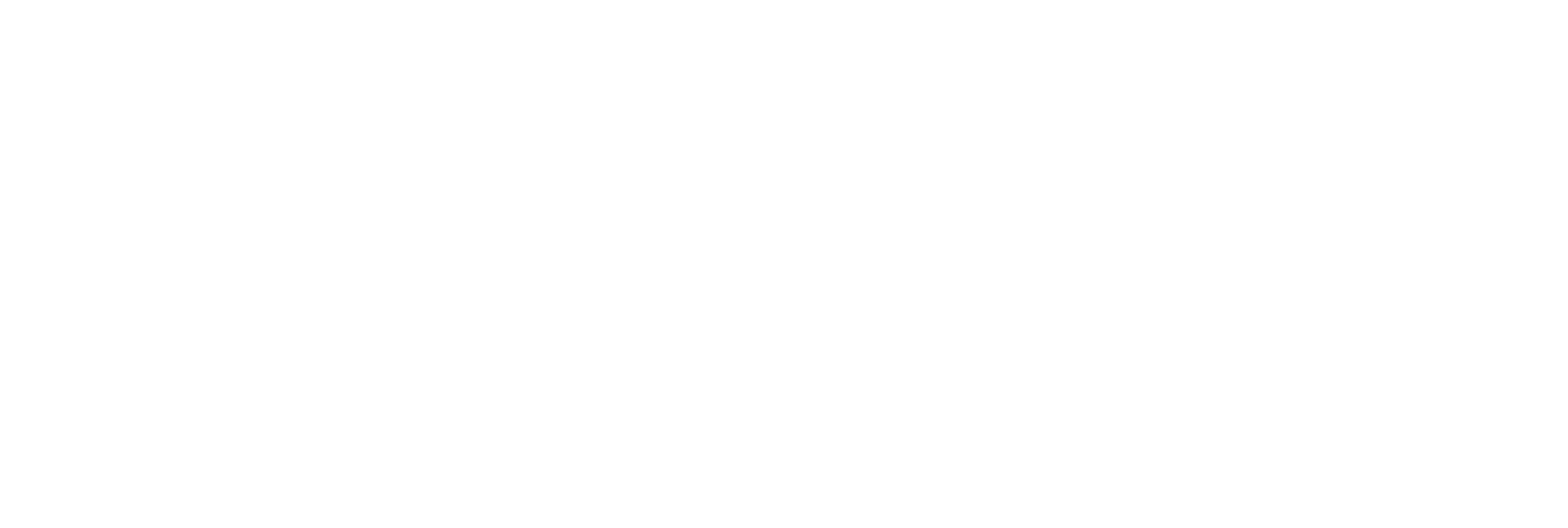 BailaVision